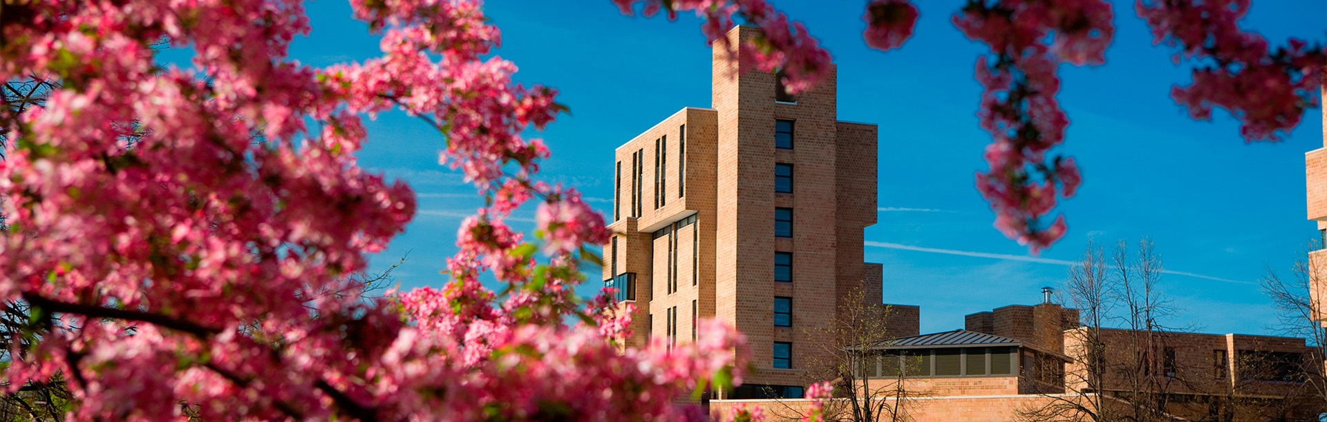 A view of UB North Campus in spring.
