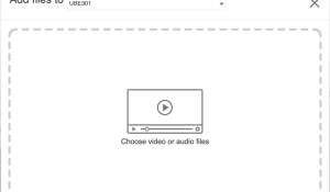 Zoom image: choose video or audio files