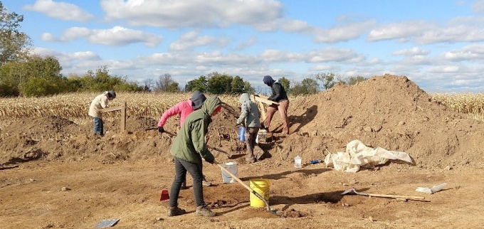 STAMP site for digging.