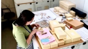 Taivalkoski analyzing bird assemblages using the Smithsonian Museum of Natural History collection.