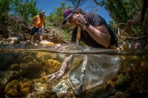Zoom image: BioSCape Science Team members Jacob Nesslage (UC Merced) and Matthew Rossi (UColorado) collecting environmental DNA samples in a river in South Africa. Photo: J. Shelton. 