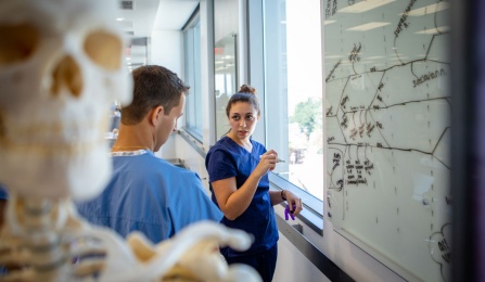 Two students wearing scrubs write on a whiteboard.