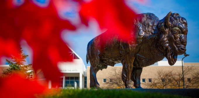 buffalo statue. 