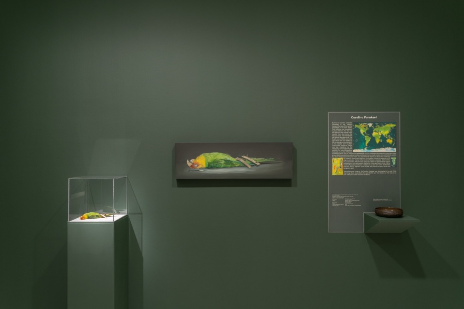 An installation photo of the exhibition Alberto Rey: Lost Beauty 1 at UB Anderson Gallery.