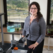 Jennifer A. Surtees.