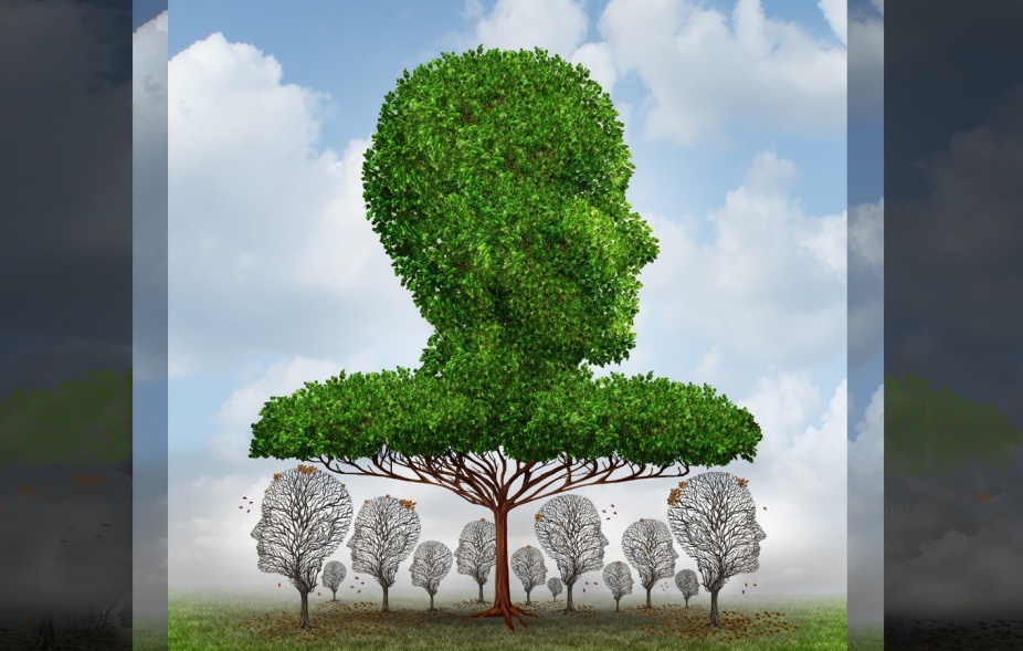 Blog 14. Using Legal Rules to Reduce Income Inequality.