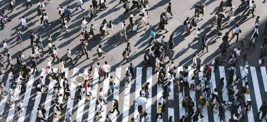 Photograph by Ryoji Iwata via UnSplash.