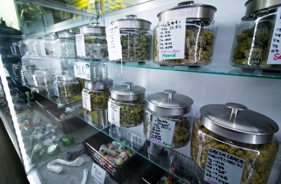 Blog 17. R. Lorraine Collins: Medical and Recreational Cannabis Laws are being passed even though we do not know much about its effects.