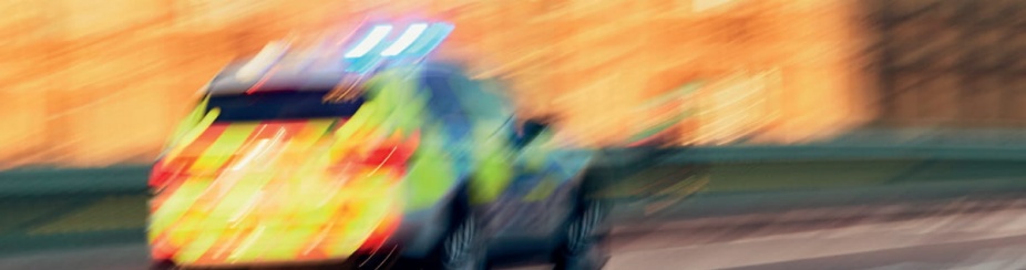 Book cover courtesy of David A. Westbrook, 2020.