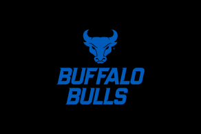 Usage Guidance - Identity and Brand - University at Buffalo