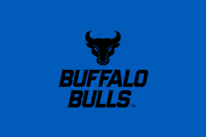 Usage Guidance - Identity and Brand - University at Buffalo