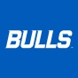 Bulls wordmark. 