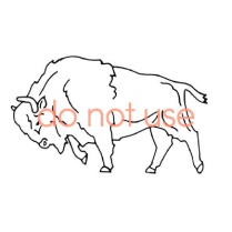 Old charging Buffalo logo.