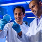 Researchers looking at a sample in a lab. 