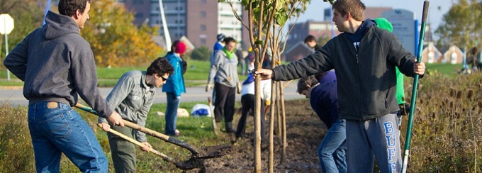 students planting tree.