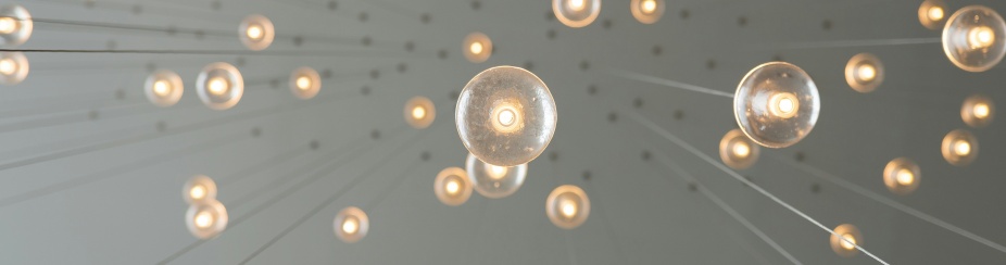 Lightbulbs hanging from a ceiling. 