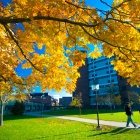 North Campus in Fall. 