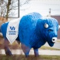 A buffalo statue painted blue with the UB logo. 