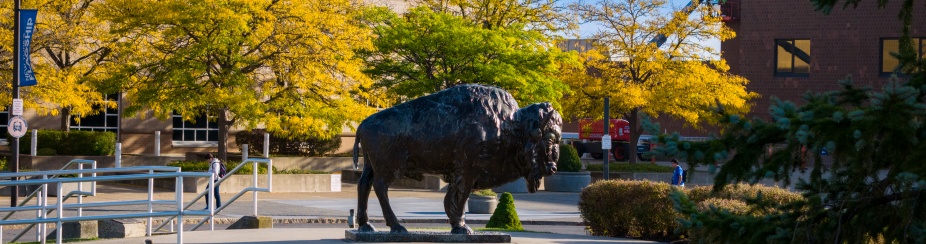 The bronze bison near the Center for the Arts. 