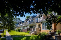 Row of houses close together with trees and sidewalk.