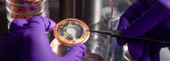 Close up of two hands wearing purple gloves holding tweezer in the right hand and a round disk in the left hand.