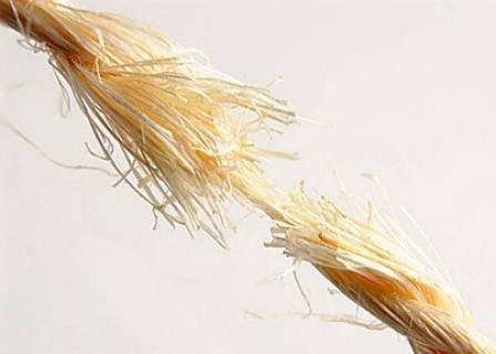 Frayed rope about to break.