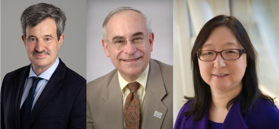 Andrew Talal, MD, MPH; Stanley A. Schwartz, MD, PhD; and Eunice S. Wang, MD.