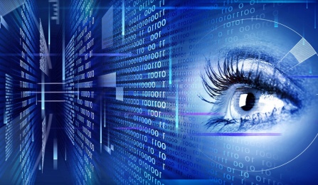 human eye with biometric measurements.