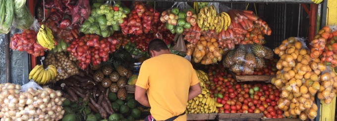 Photo taken in Costa Rica by Jack Walker.