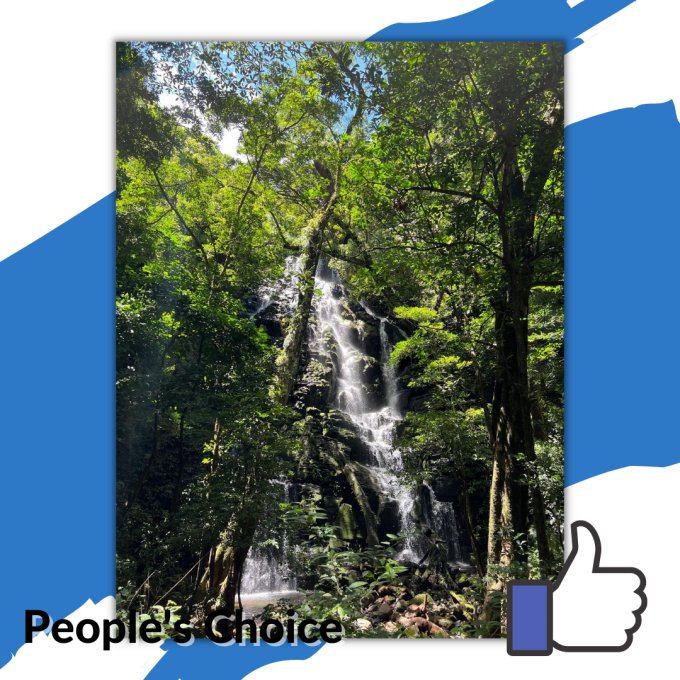 Waterfall and Greenery.