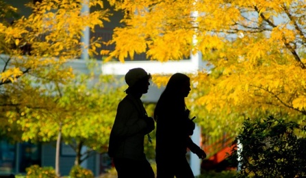 women walking in silhouette on campus.