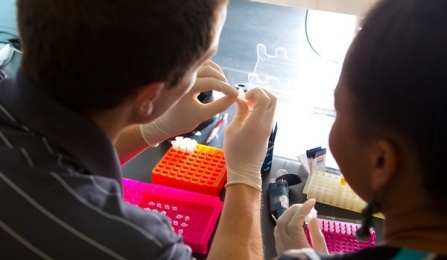 Students working in a lab. 