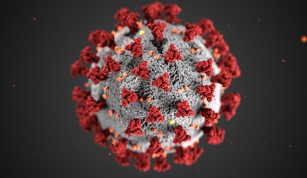 CDC photo image of COVID-19 virus.