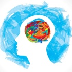 painting of brain with many colors.