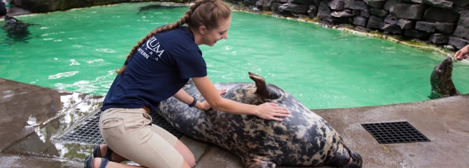 UB student Elizabeth Kaplan at her internship at the Niagara Aquarium in Niagara Falls, NY. Photographer: Meredith Forrest Kulwicki.