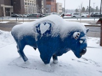 UB Bull statue covered in snow. 