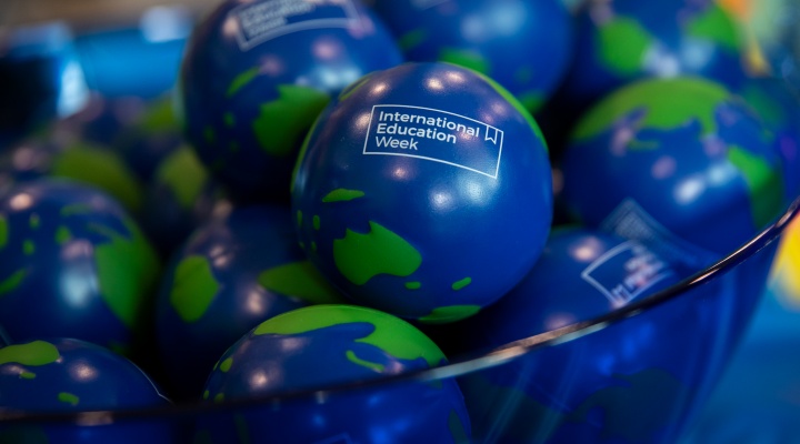 A bowl of globe shaped stress balls with International Education Week logo. 