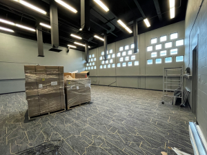 An empty laboratory under construction with a rug, boxes and several other items.