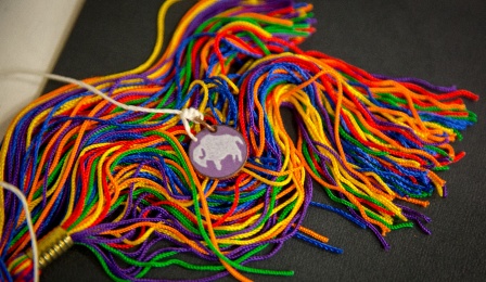 rainbow tassle.