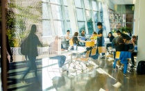 students studying in groups in the Davis Hall atrium on North Campus. 