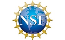 NSF logo. 