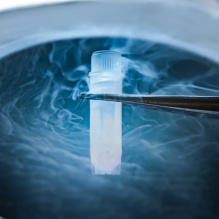 Self-Assembling Pores for Biopreservation.