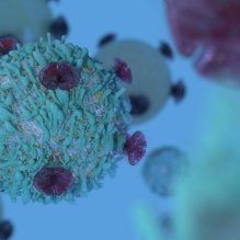 Therapeutic Efficacy of A Drug that Blocks Immune Suppression & Enhances Anti-Tumor Response.