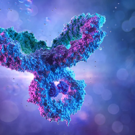 Antibody Drug Conjugate.