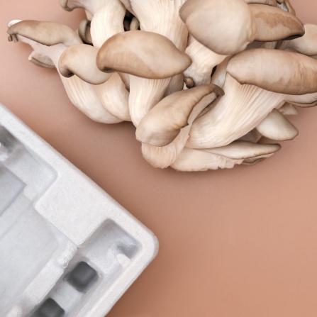 Ecovative packaging.