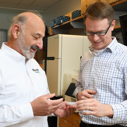 UB BEP_Rheonix and Lab 11.29.18, Nancy J Parisi.