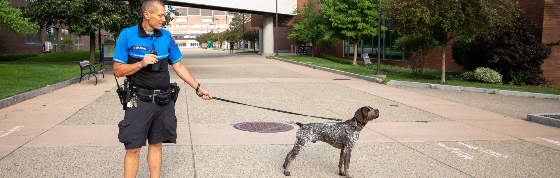 Congi, a German Shorthaired Pointer trained in tracking and detecting explosives, joined UPD in the summer of 2023. His handler is Officer Dale Zulawski. They were photographed outside the Student Inion on the Spine in August 2023. Photographer: Meredith Forrest Kulwicki. 