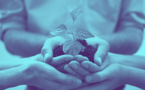 one person cupping their hands holding a mound of dirt with a plant growing out of it and two other people cupping that persons hand on either side.