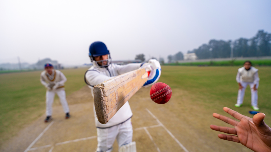 person playing cricket. 