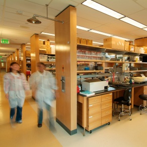 A brightly lit biomedical research laboratory with long wooden workbenches, shelves filled with equipment and cardboard boxes, and two people in lab coats walking down the central aisle while empty swivel chairs sit at the workstations.